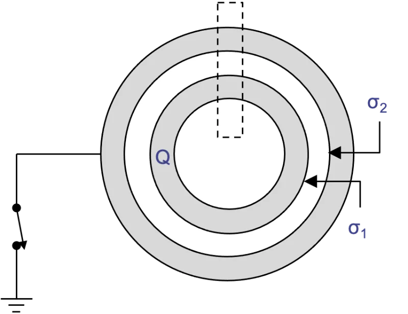 Concentric shells.webp