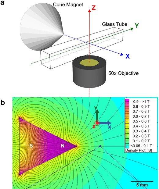 Cone Magnet.jpg