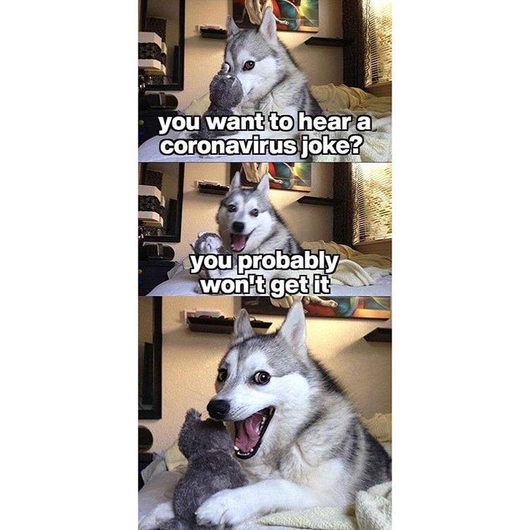 CoronaDog.jpg