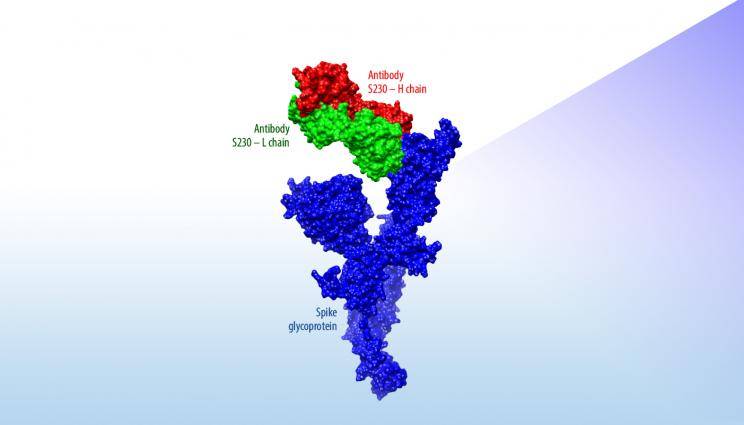 coronaVirus_875x500r_0.jpg