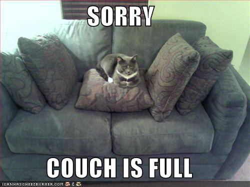 couch-is-full-i-can-has-cheezburger.jpg