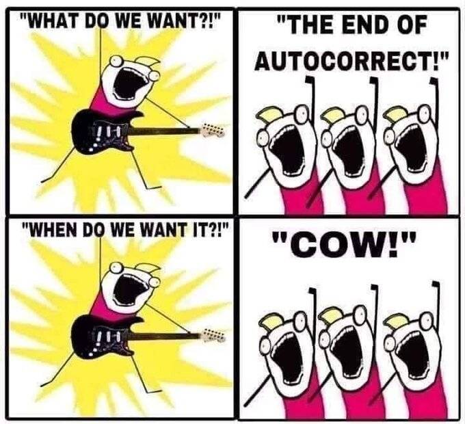 Cow.jpg