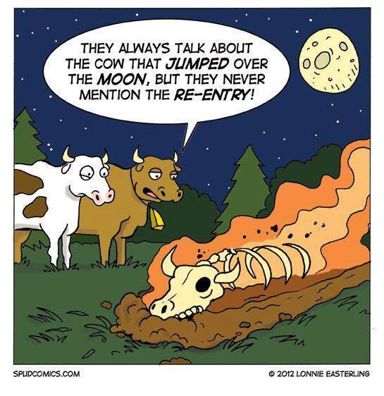 cow jumped over the moon.jpg