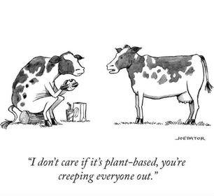 cow-vegan-burger.jpg