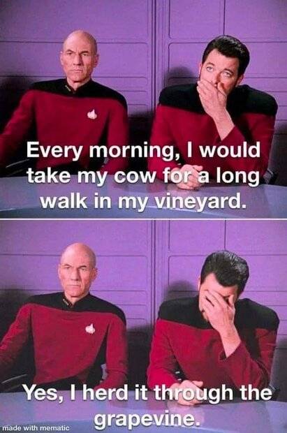 cow-walk.jpg
