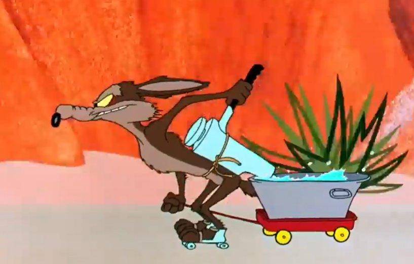 coyote and bad physics.jpg