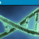 crispr1-80x80.png