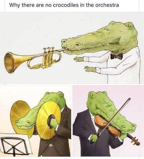 crocodile-orchestra.jpg