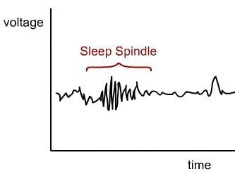 cropped-sleep.jpg