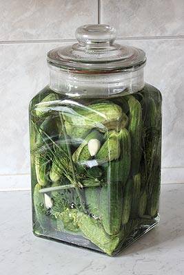 cucumbers.jpg