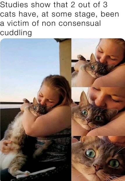 Cuddling with cat.jpg