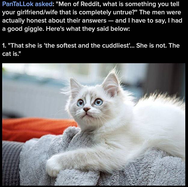 cuddly.jpg