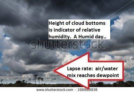 cumulus.jpg