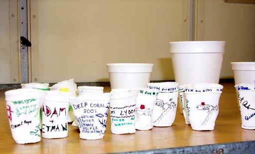 cups_545.jpg