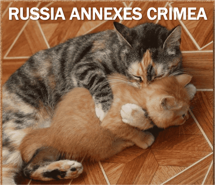 Current-Event-Cat-Annex-Crimea.png