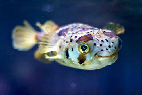 cute-animals-28.jpg
