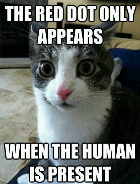 d9af74c749209ba49e7310862a2af14e.jpg