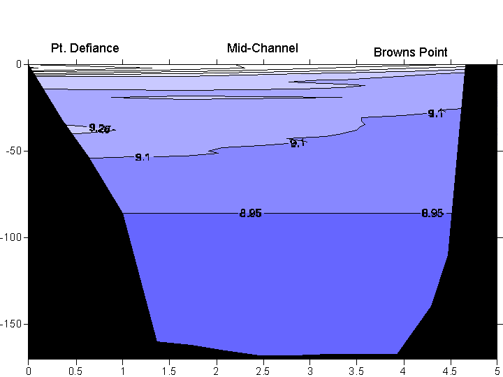 deeptemp.gif