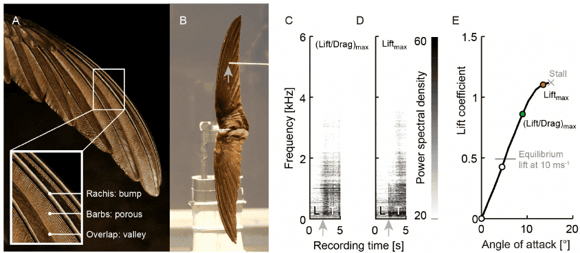 Detection-of-boundary-layer-transition-to-turbulence-on-swift-wings-with-an-amplified (1).png