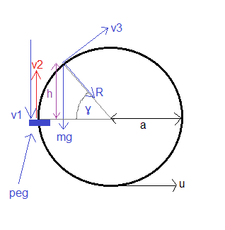 246113
