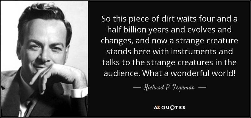 dirt-waits-four-and-a-half-billion-years-and-evolves-and-changes-and-richard-p-feynman-141-91-08.jpg