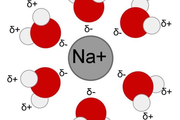 do-ionic-compounds-dissolve-water-800x800.jpg