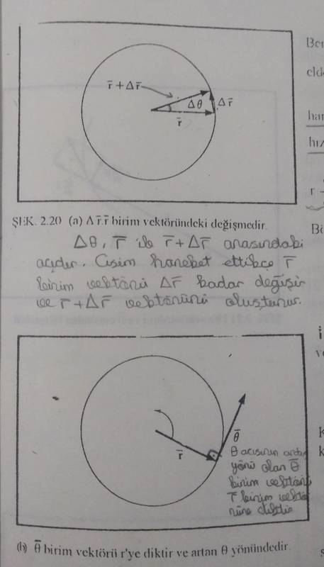DO15I.jpg
