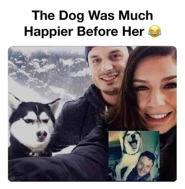 dog.jpg