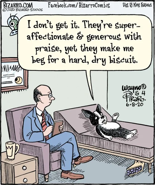 Dog psychology.webp