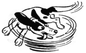 Dog Tail
