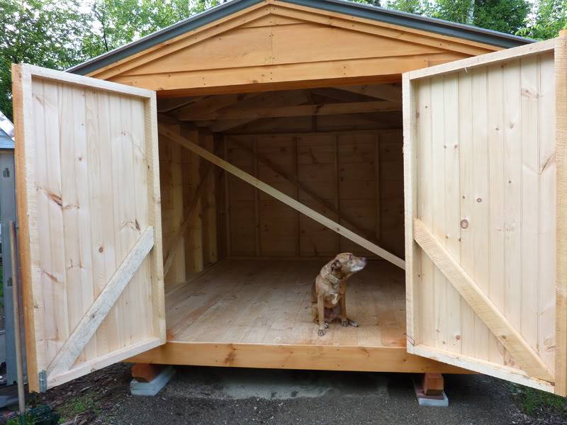 doghouse.jpg