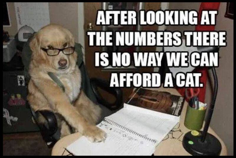 dogmeme1.jpg