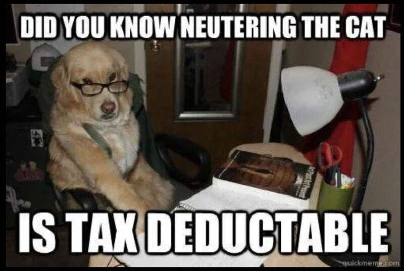 dogmeme2.jpg