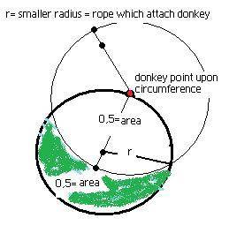 donkey 3.jpg