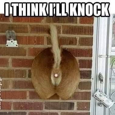doorbell.jpg