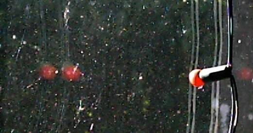 double.pane.window.image.jpg