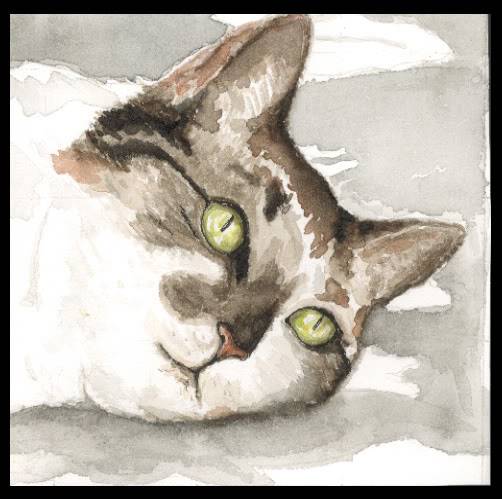 dreaming_cat.jpg