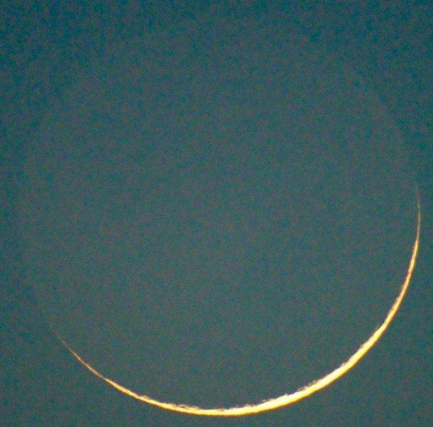 DSC01917_filtered_small_zps225e7b48.jpg