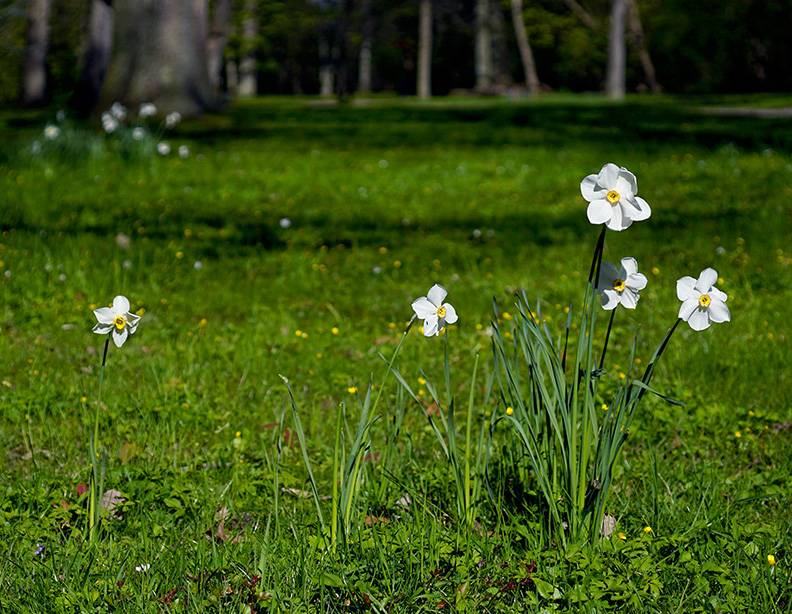 DSC02867.jpg