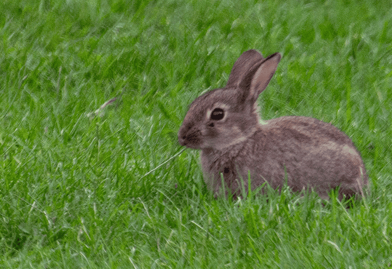 DSC6329.png
