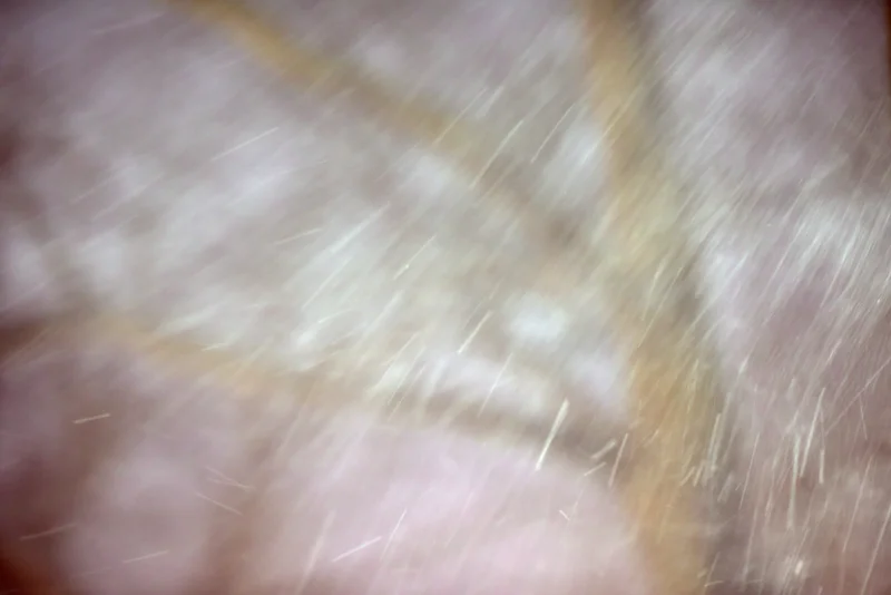 DSC_5242 copy 2.webp