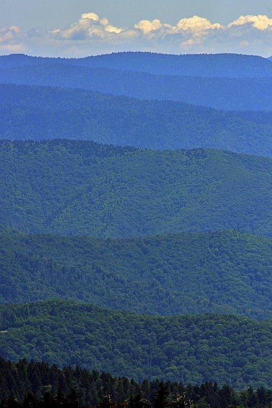 DSC_5242.jpg