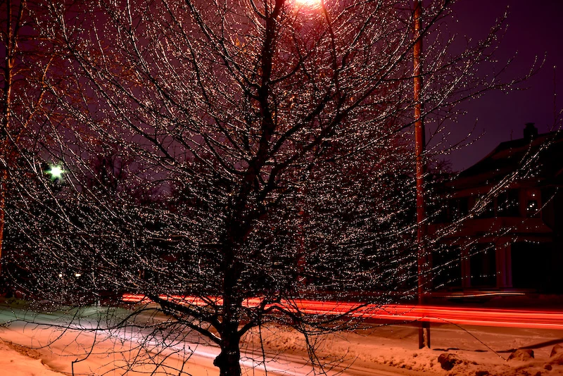 DSC_5458 copy 2.webp