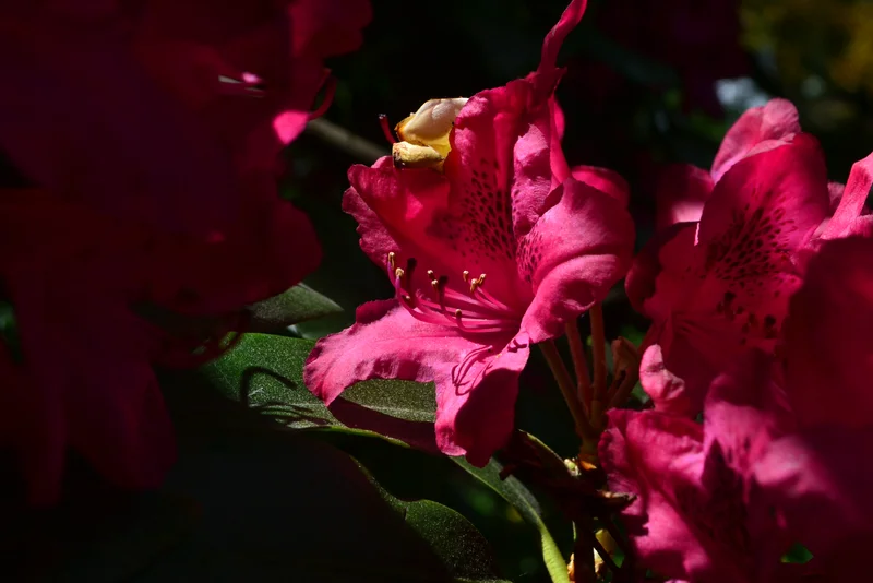 DSC_5663.webp