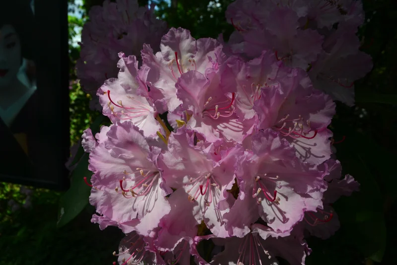 DSC_5758.webp