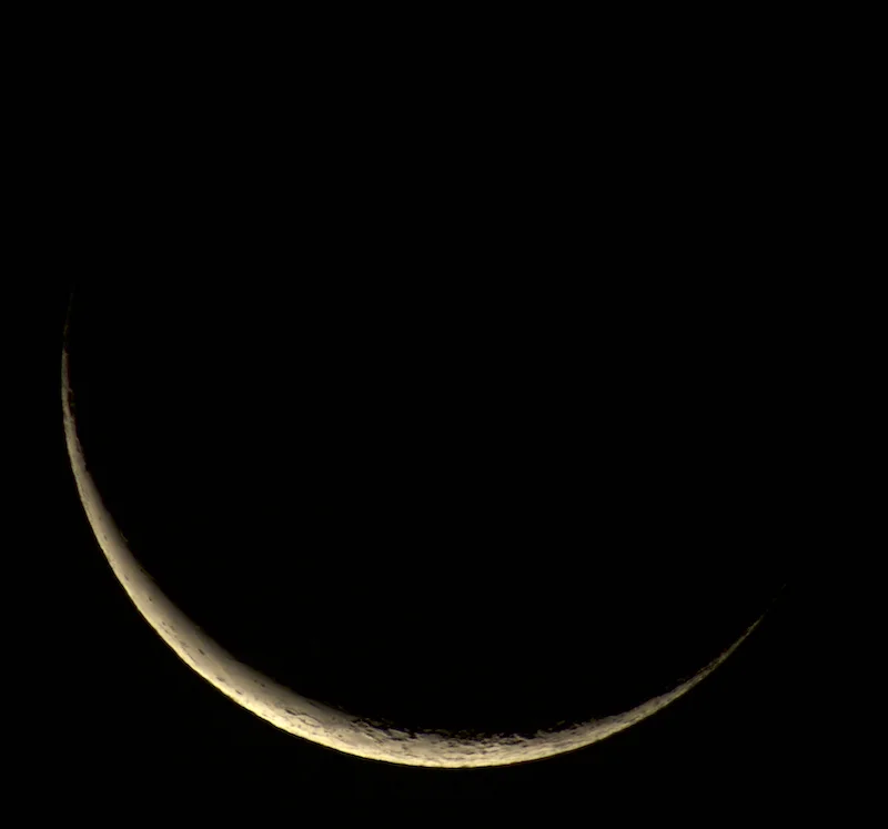 DSC_7471 copy 3.webp