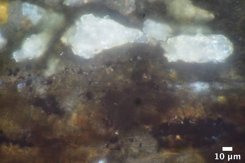 DSC_8590.jpg