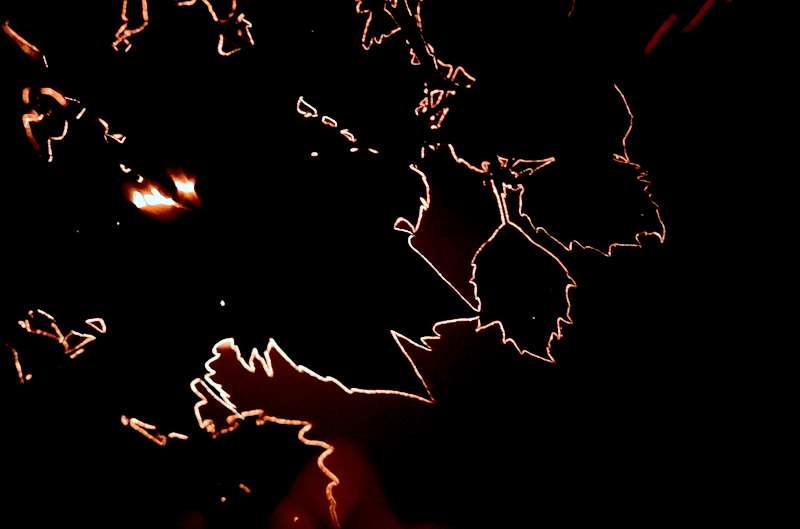 DSC_8660 copy.webp