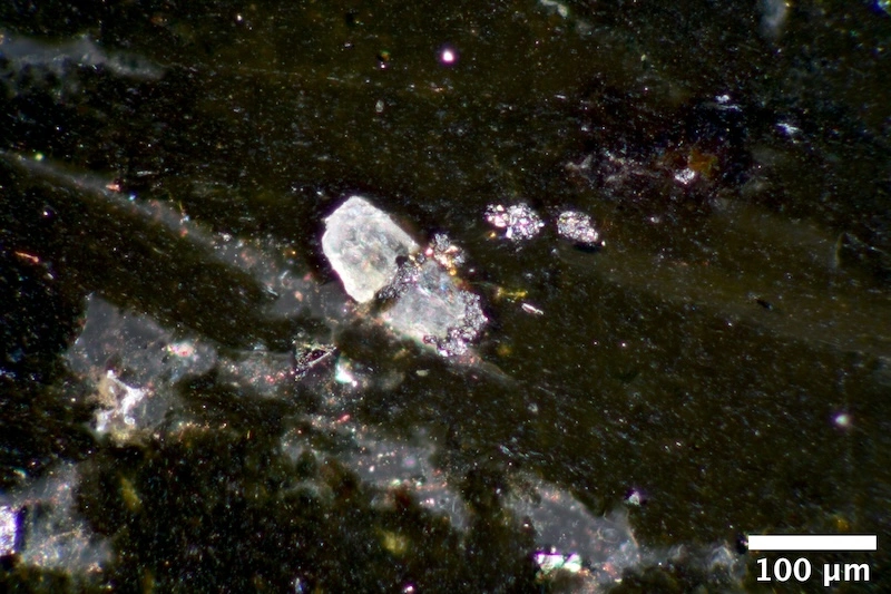 DSC_8674.webp