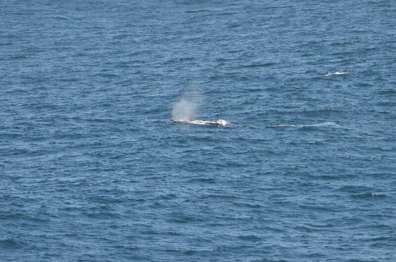 DSC_9262.JPG